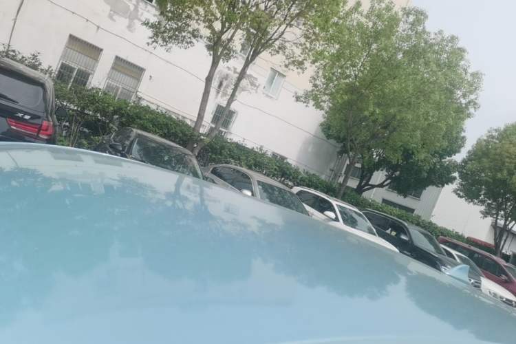 Used ORA iQ 2018 High-Range Version Smart Connectivity Model Roof