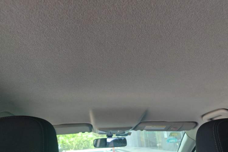 Used ORA iQ 2018 High-Range Version Smart Connectivity Model Headliner
