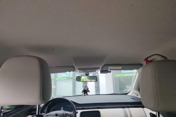 Used ORA iQ 2018 High-Range Version Smart Connectivity Model Headliner