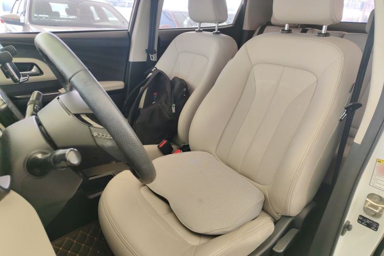 Used ORA iQ 2018 Smart Connectivity Model Left Front Seat