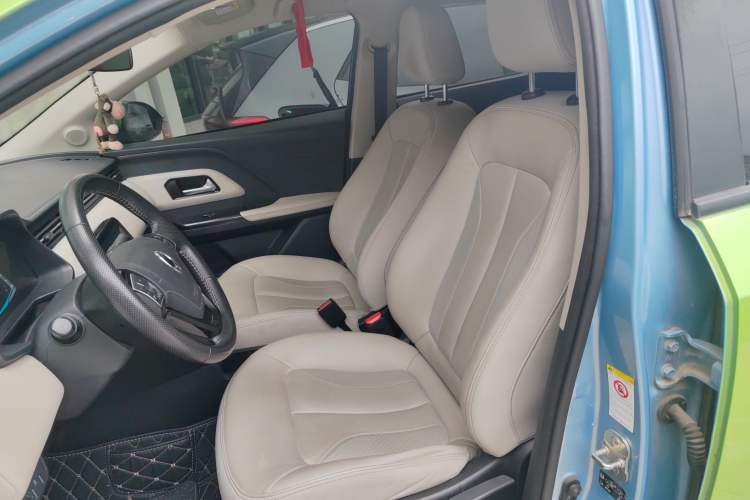Used ORA iQ 2018 High-Range Version Smart Connectivity Model Left Front Seat