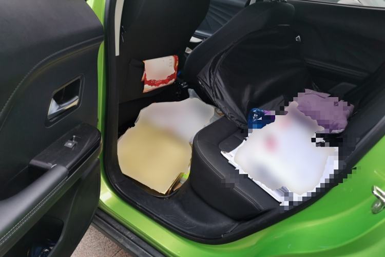 Used ORA iQ 2018 Ambitious Version Left Rear Seat
