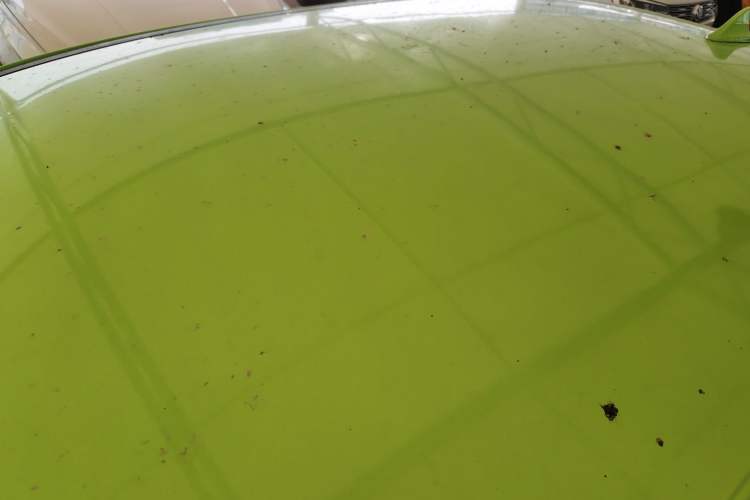 Used ORA iQ 2018 Smart Connectivity Model Roof