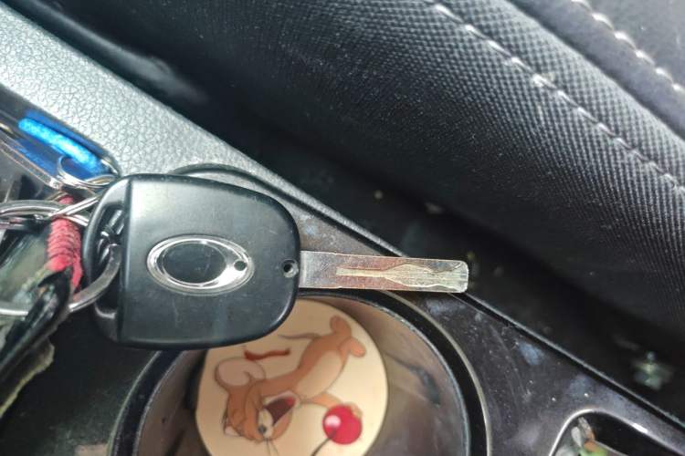Used ORA iQ 2018 High-Range Version Smart Connectivity Model Vehicle Key