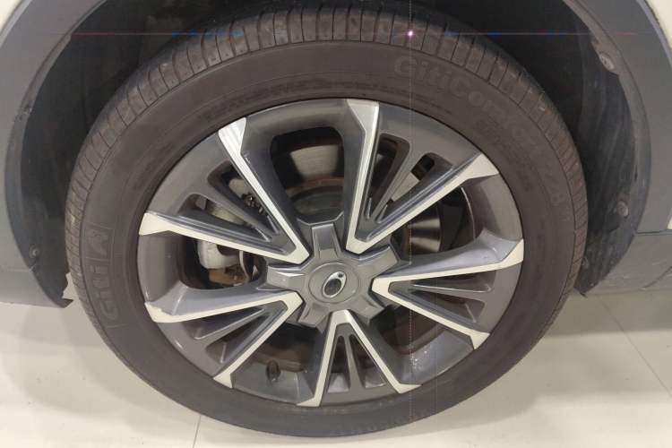 Used ORA iQ 2018 High-Range Version Smart Connectivity Model Exterior 4