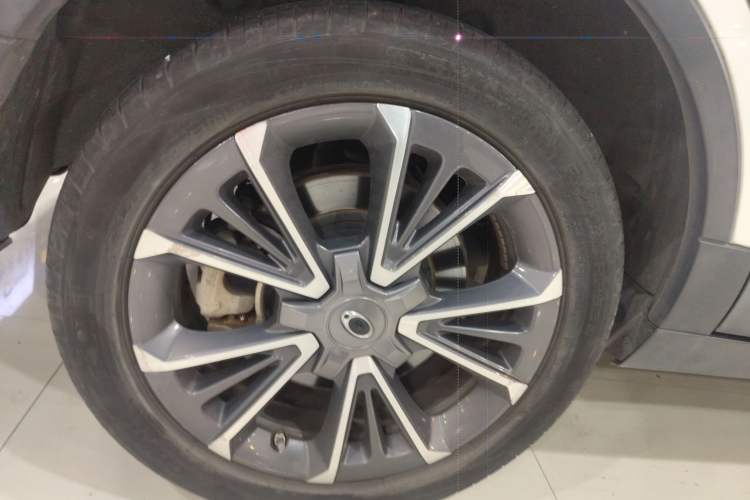 Used ORA iQ 2018 High-Range Version Smart Connectivity Model Exterior 5