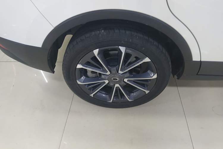 Used ORA iQ 2018 High-Range Version Smart Connectivity Model Exterior 5