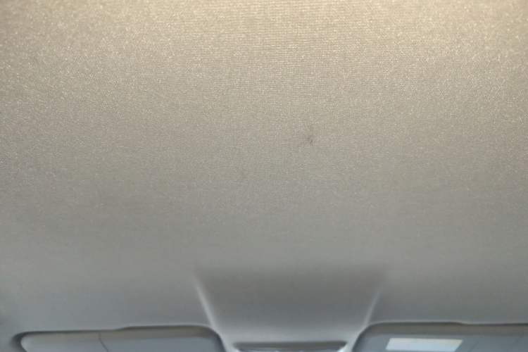 Used ORA iQ 2018 High-Range Version Smart Connectivity Model Headliner