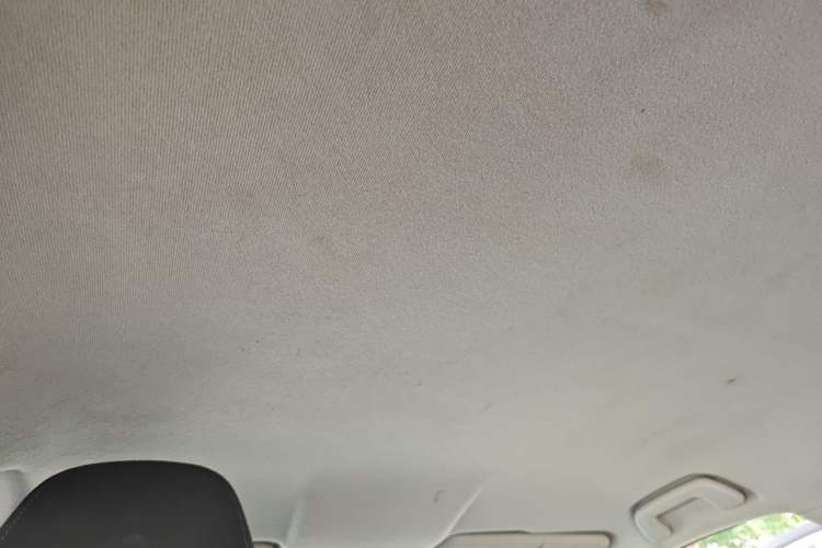 Used ORA iQ 2018 Smart Connectivity Model Headliner
