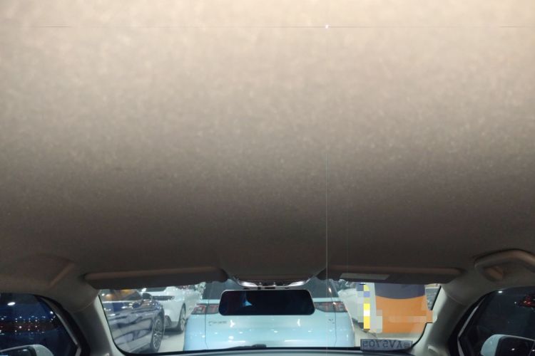 Used ORA iQ 2018 High-Range Version Smart Connectivity Model Headliner