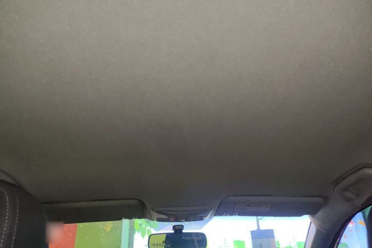 Used ORA iQ 2018 Smart Connectivity Model Headliner