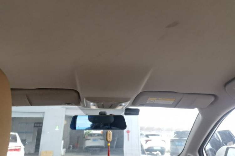 Used ORA iQ 2018 High-Range Version Smart Connectivity Model Headliner