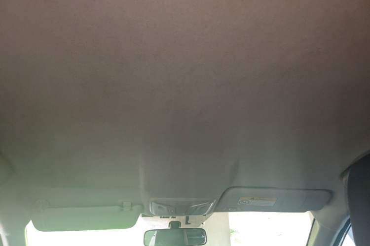 Used ORA iQ 2018 High-Range Version Smart Connectivity Model Headliner