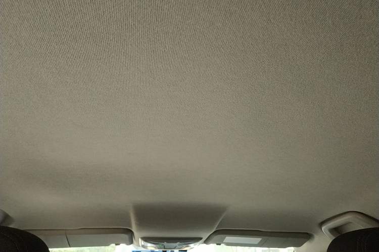 Used ORA iQ 2018 High-Range Version Smart Connectivity Model Headliner