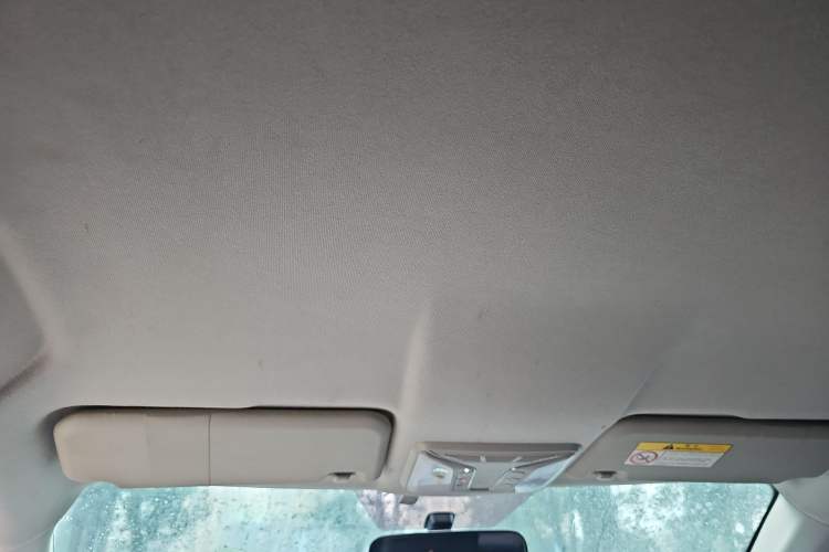 Used ORA iQ 2018 High-Range Version Smart Connectivity Model Headliner