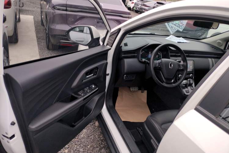 Used ORA iQ 2018 High-Range Version Smart Connectivity Model Left Front Door Interior