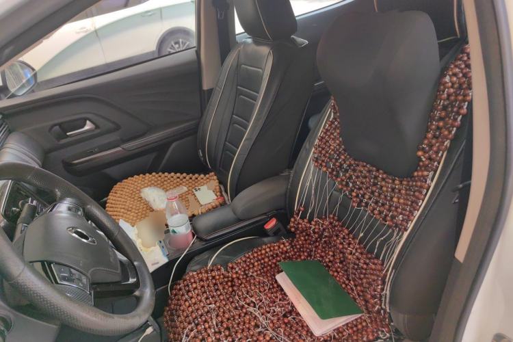 Used ORA iQ 2018 Ambitious Version Left Front Seat