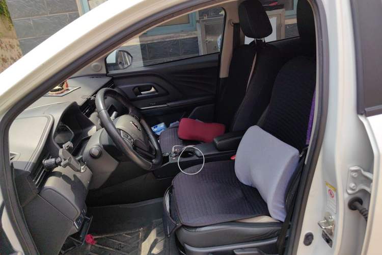 Used ORA iQ 2018 High-Range Version Smart Connectivity Model Left Front Seat