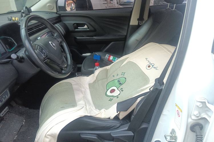 Used ORA iQ 2018 High-Range Version Smart Connectivity Model Left Front Seat