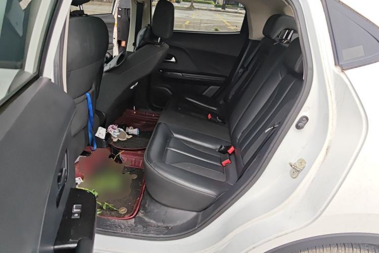 Used ORA iQ 2018 Smart Connectivity Model Left Rear Seat