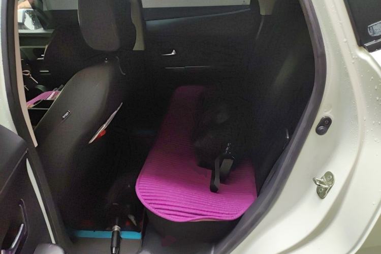 Used ORA iQ 2018 High-Range Version Smart Connectivity Model Left Rear Seat