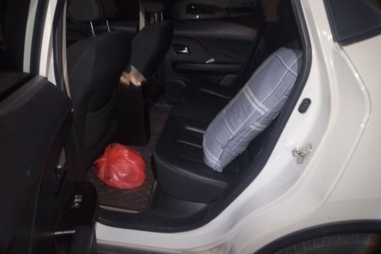 Used ORA iQ 2018 Smart Connectivity Model Left Rear Seat