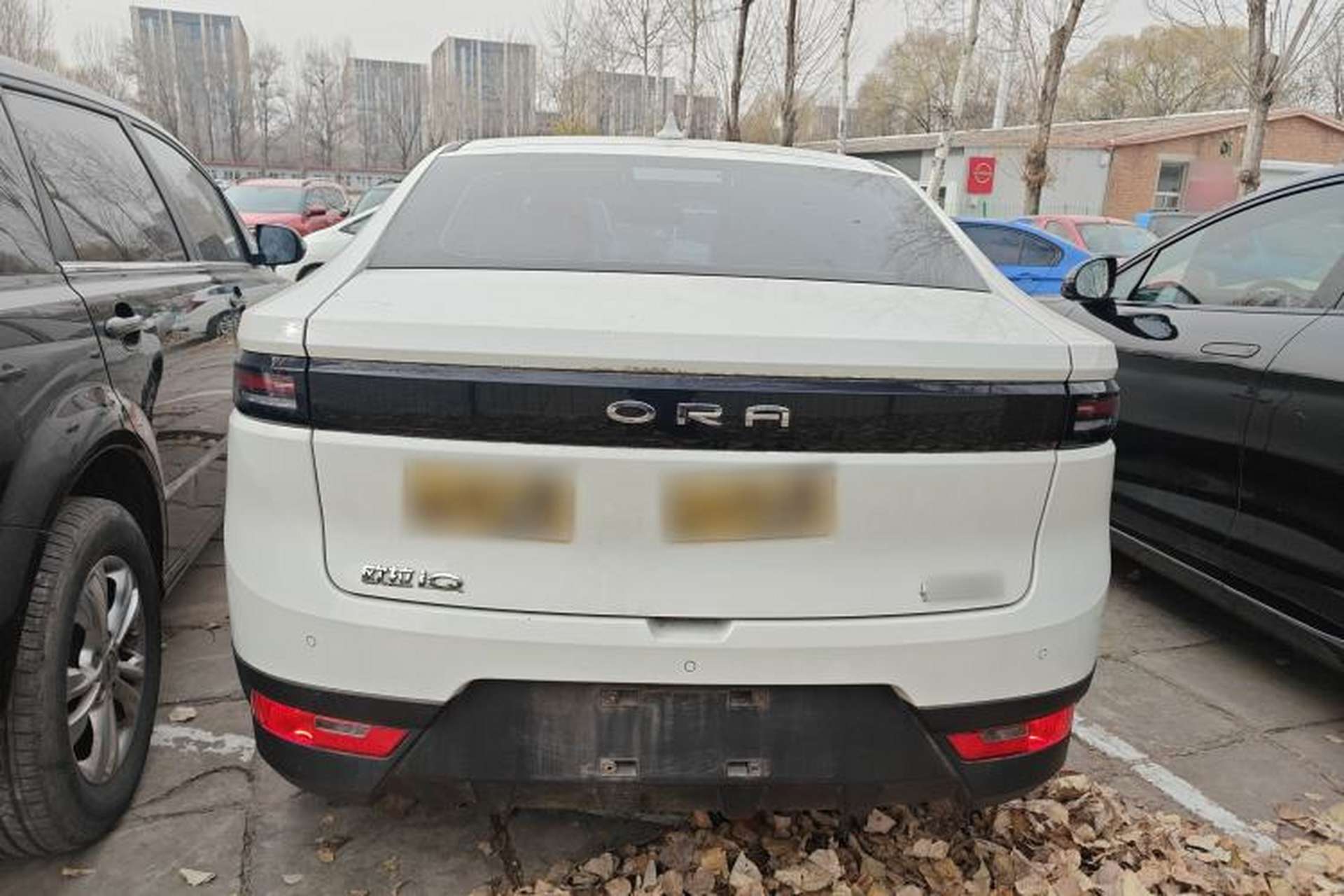 Used ORA iQ 2018 Smart Connectivity Model Rear