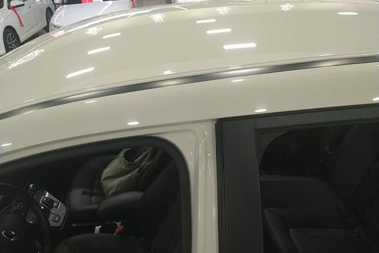 Used ORA iQ 2018 High-Range Version Smart Connectivity Model Roof