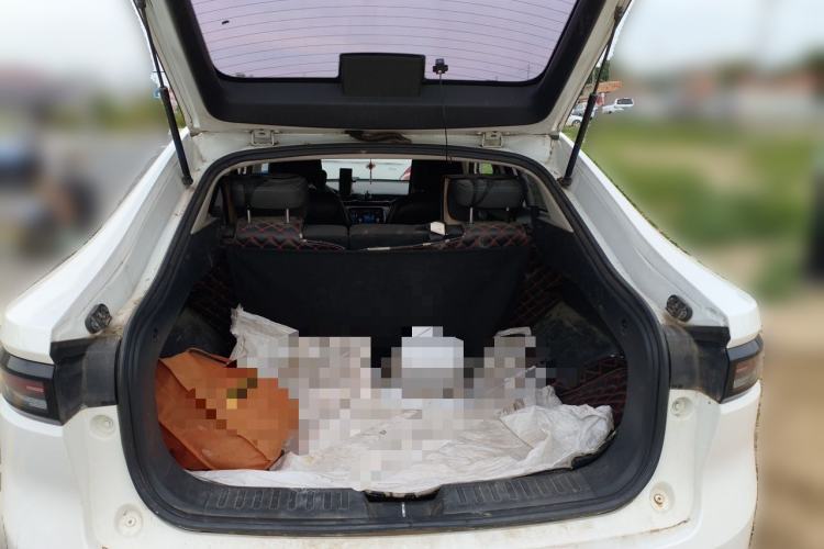 Used ORA iQ 2018 High-Range Version Smart Connectivity Model Trunk