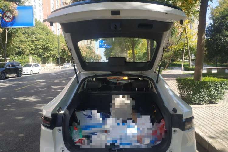 Used ORA iQ 2018 High-Range Version Smart Connectivity Model Trunk