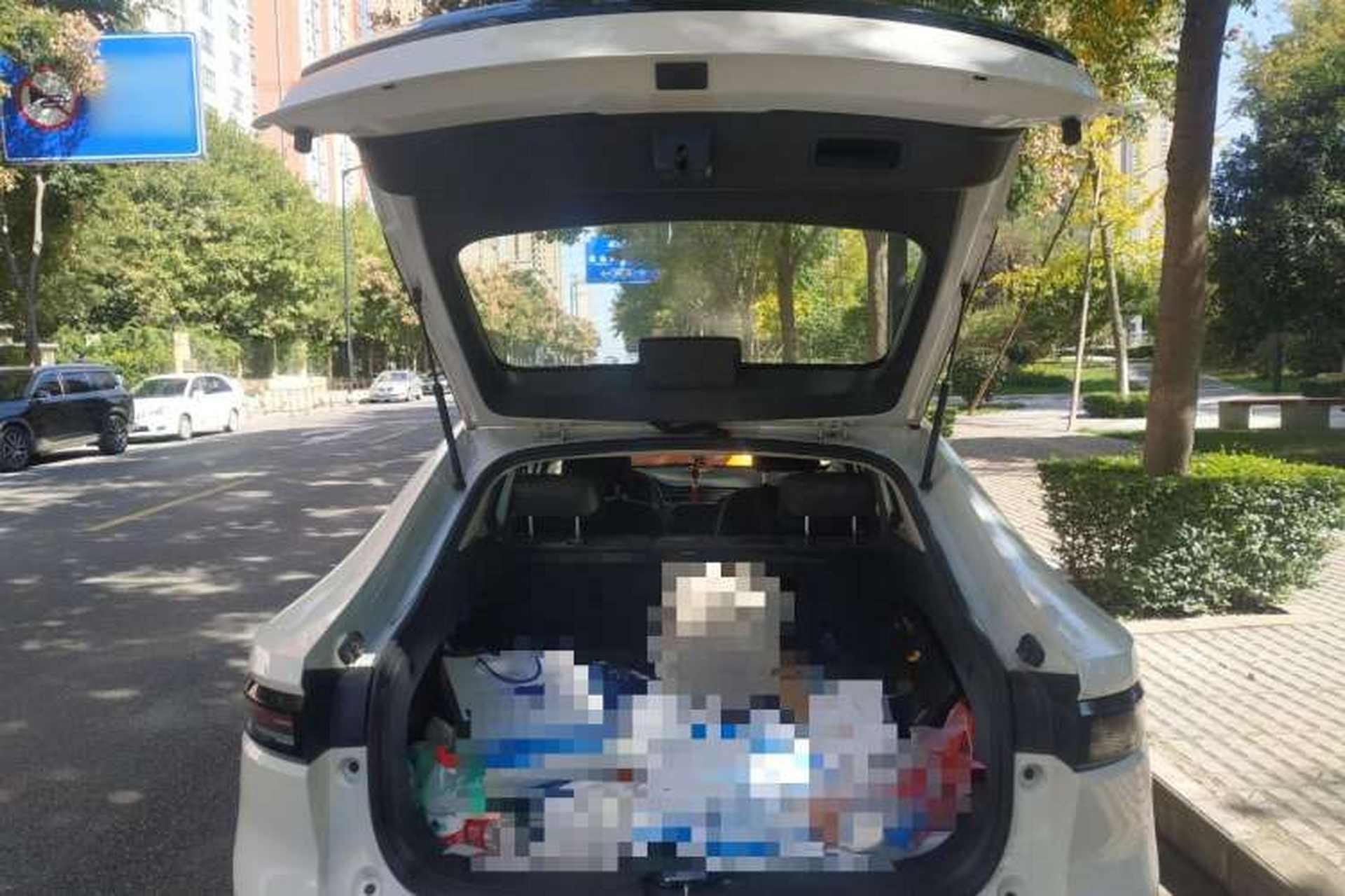 Used ORA iQ 2018 High-Range Version Smart Connectivity Model Trunk