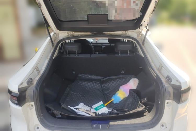 Used ORA iQ  Trunk