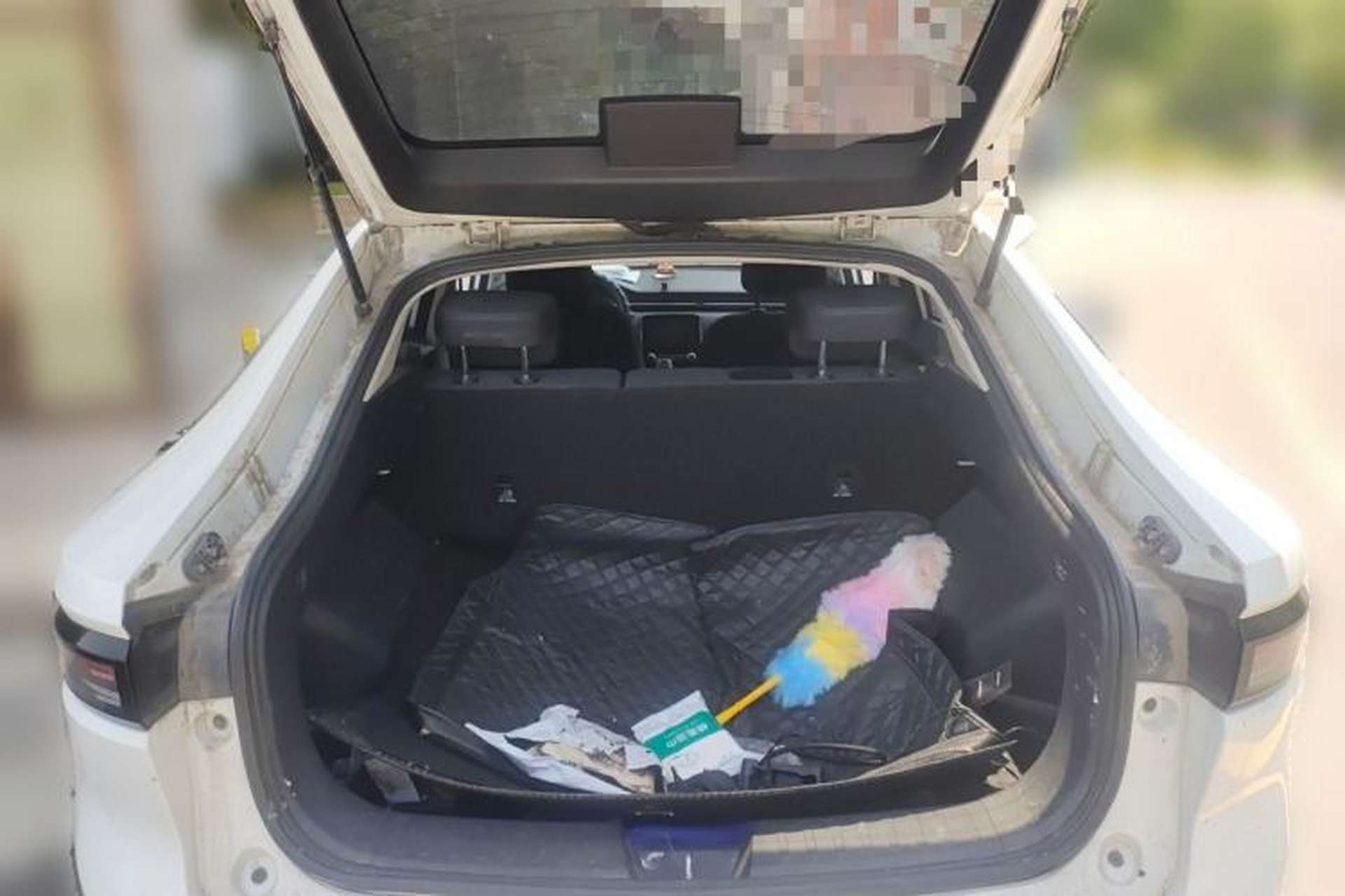 Used ORA iQ  Trunk