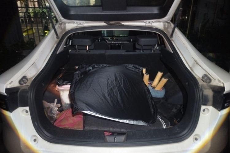 Used ORA iQ 2018 Smart Connectivity Model Trunk