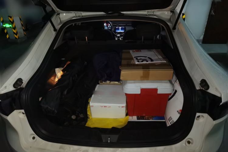 Used ORA iQ 2018 High-Range Version Smart Connectivity Model Trunk