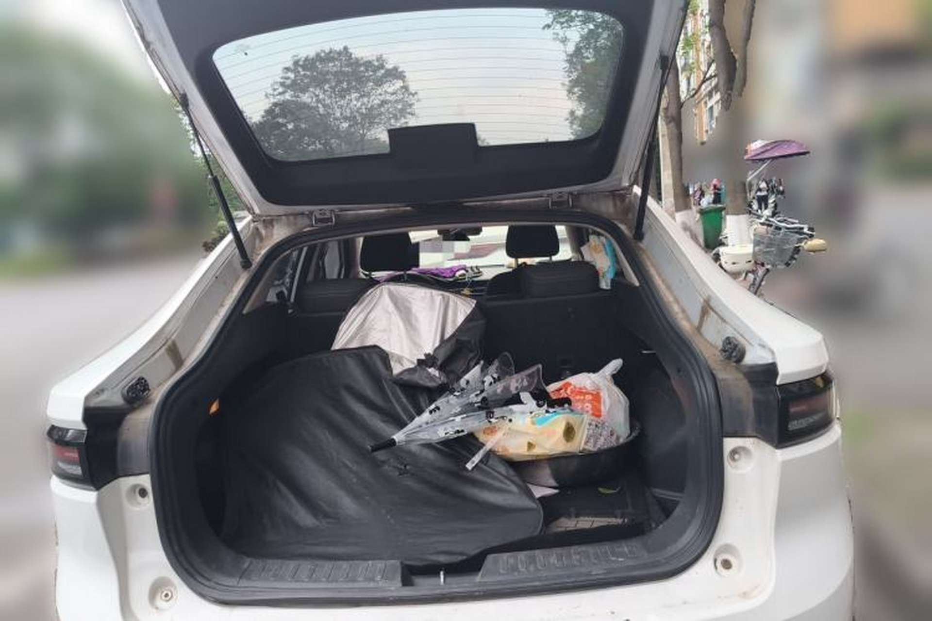 Used ORA iQ 2018 Smart Connectivity Model Trunk