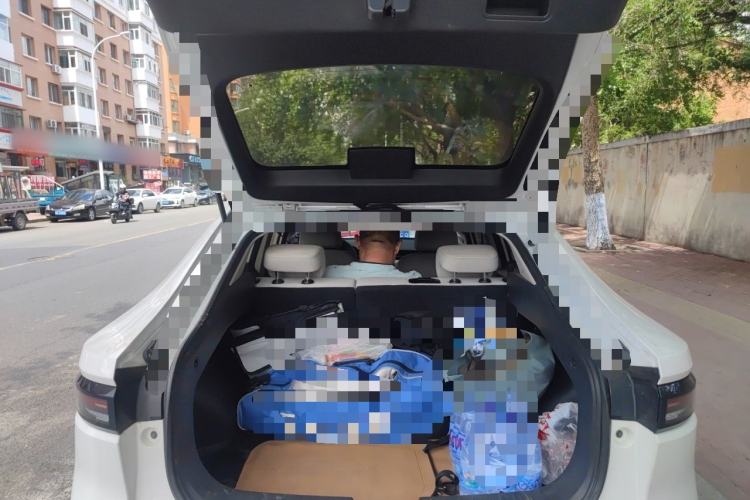Used ORA iQ 2018 High-Range Version Smart Connectivity Model Trunk