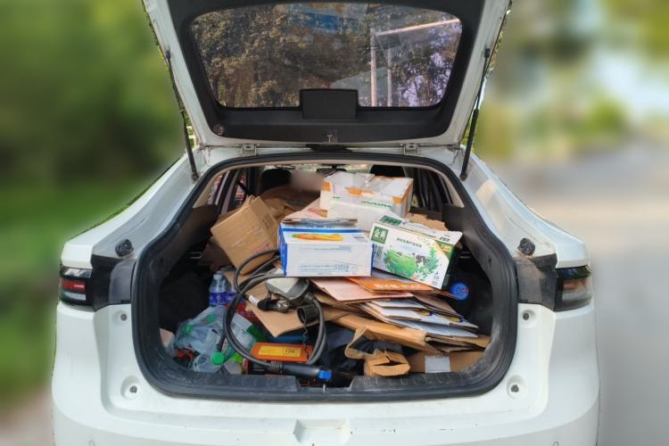 Used ORA iQ 2018 Smart Connectivity Model Trunk