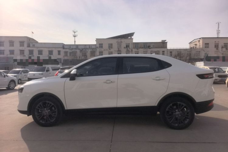 Used ORA iQ 2019 Luxury Version Exterior 5