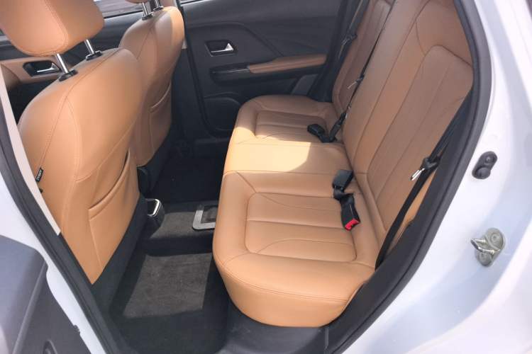 Used ORA iQ 2019 Luxury Version Interior 1
