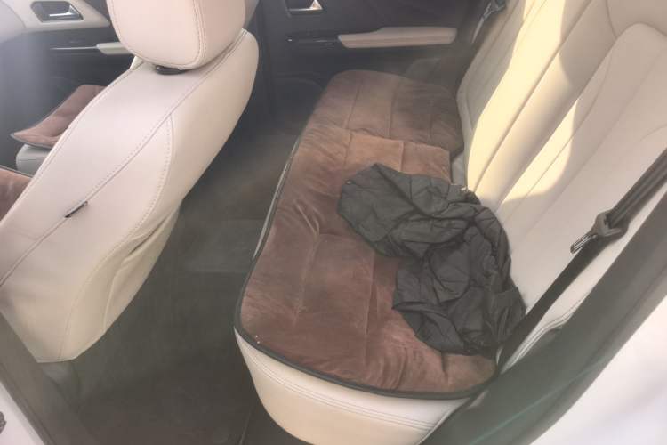 Used ORA iQ 2019 Luxury Version Interior 1