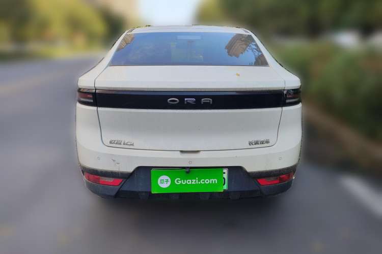 Used ORA iQ 2019 Travel Edition Rear