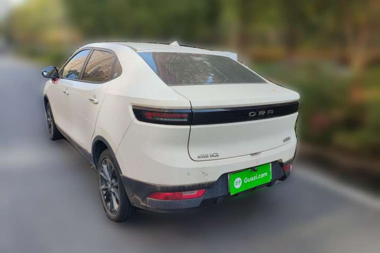 Used ORA iQ 2019 Travel Edition Rear Left 45 Deg
