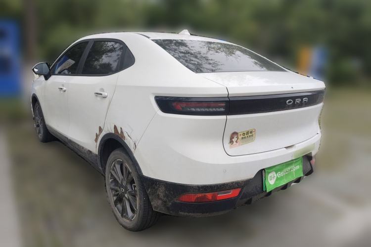 Used ORA iQ 2019 Travel Edition Rear Left 45 Deg