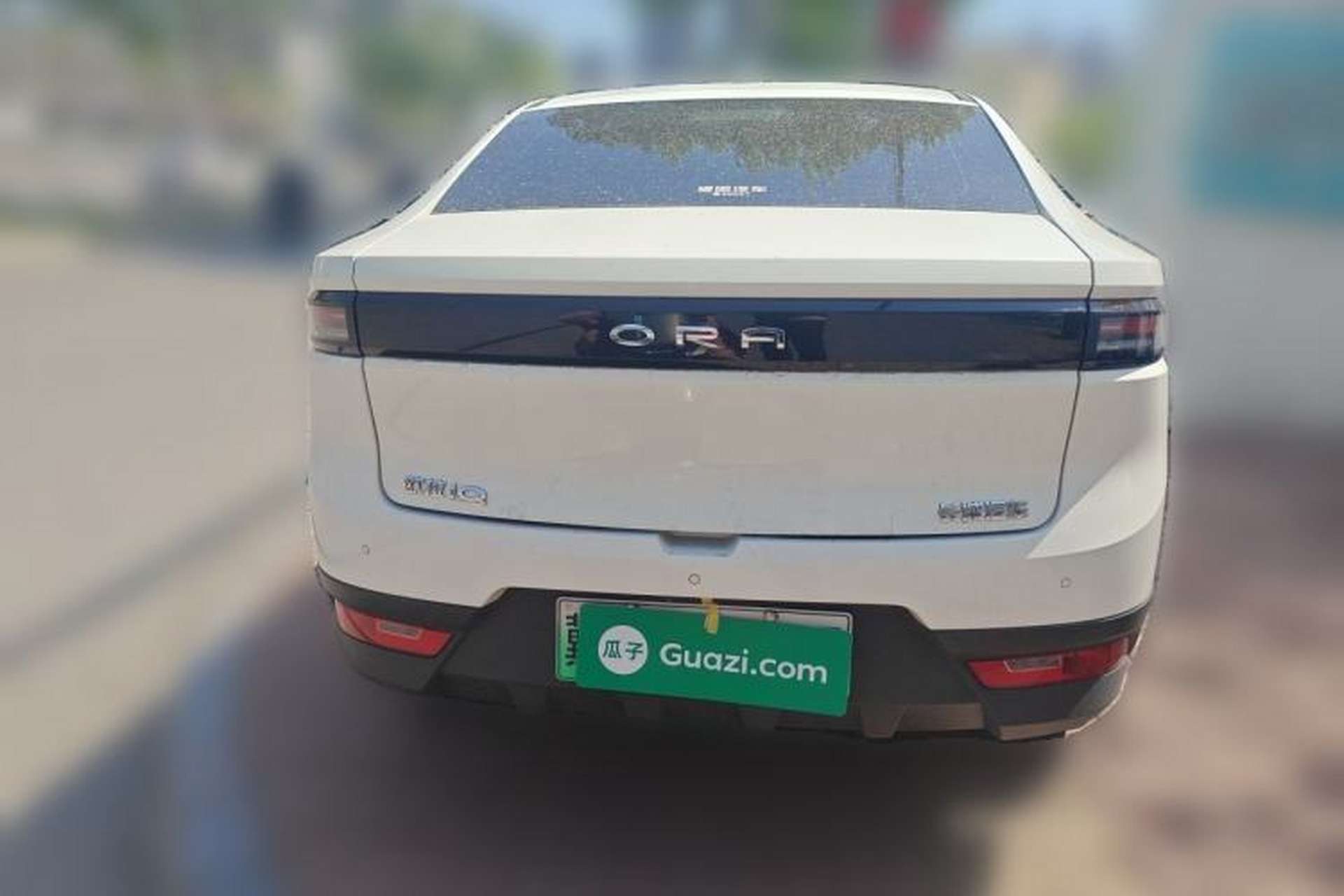 Used ORA iQ 2019 Travel Edition Rear