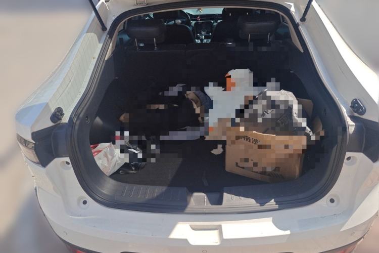 Used ORA iQ 2019 Travel Edition Trunk