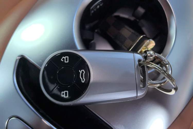 Used ORA Lightning Cat 2022 555 km Luxury Edition Interior 1
