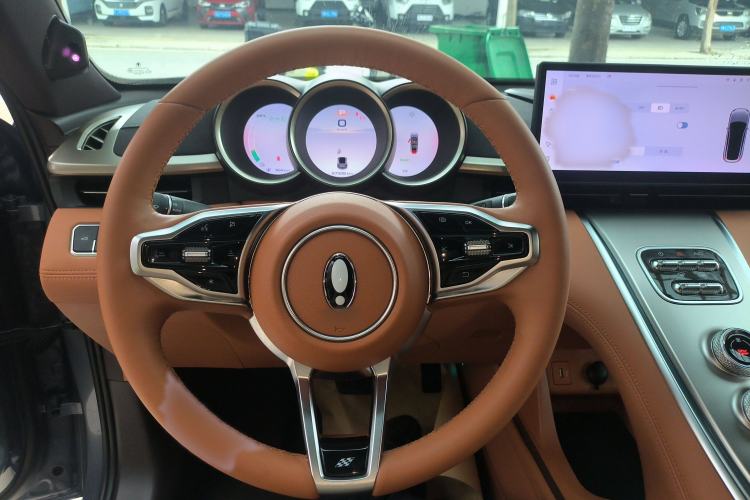 Used ORA Lightning Cat 2022 555 km Luxury Edition Steering Wheel