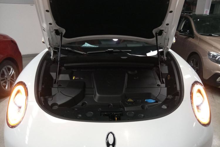 Used ORA Lightning Cat 2022 555 km Luxury Edition Engine Bay