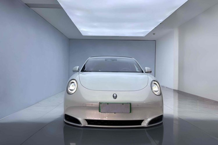 Used ORA Lightning Cat 2022 555 km Luxury Edition Exterior 4